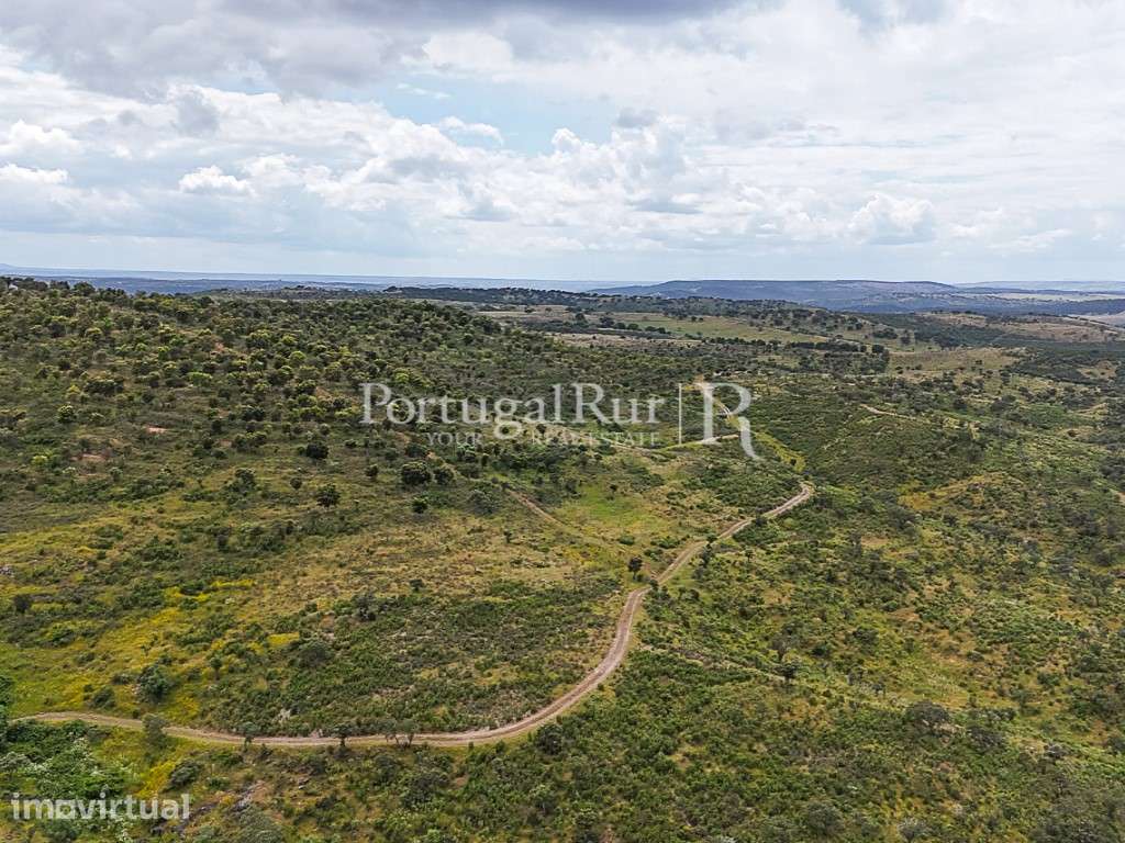 Herdade com 148 ha de Potencial Produtivo em Idanha-a-Nova - Grande imagem: 3/39