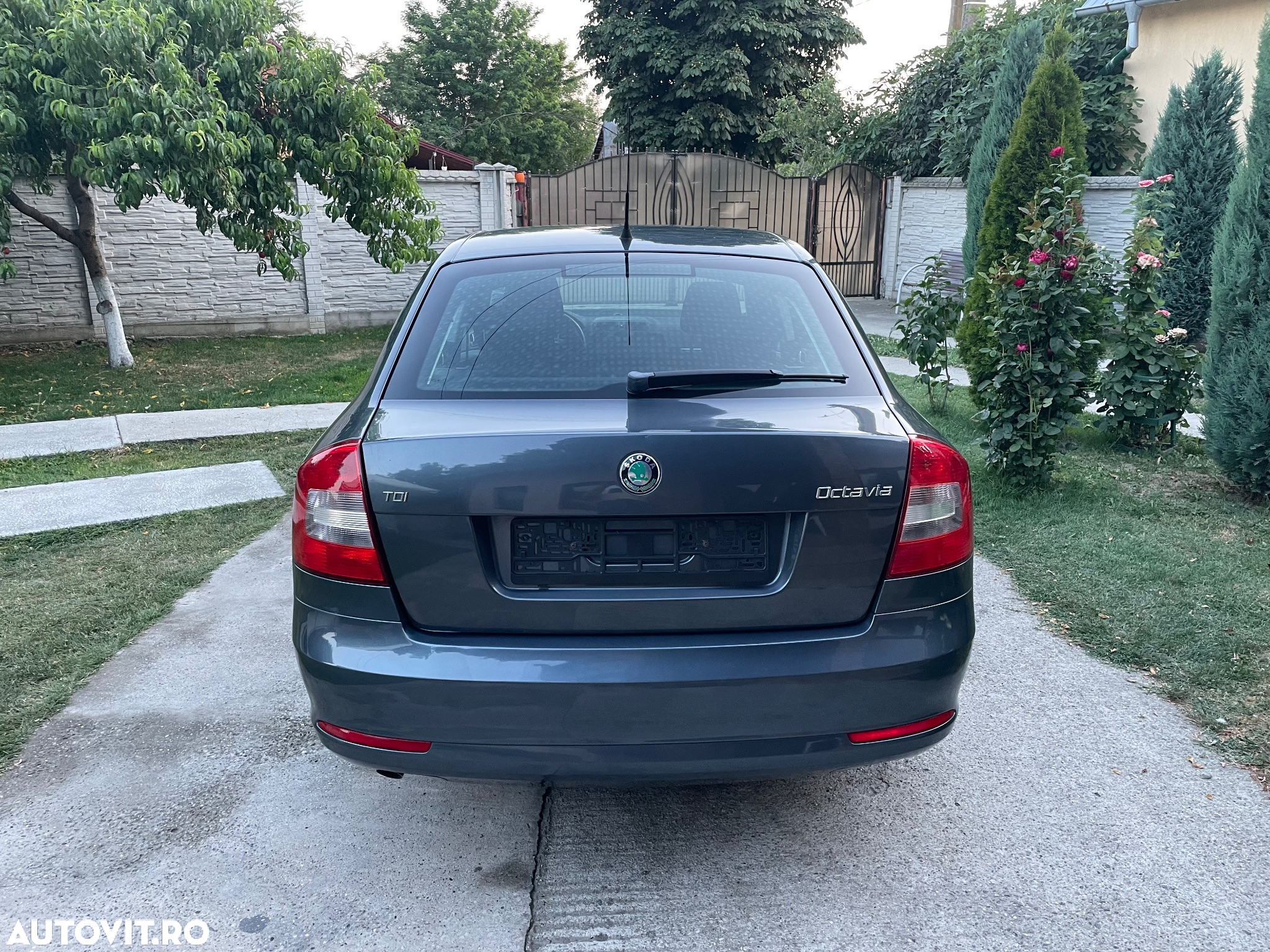 Skoda Octavia - 19