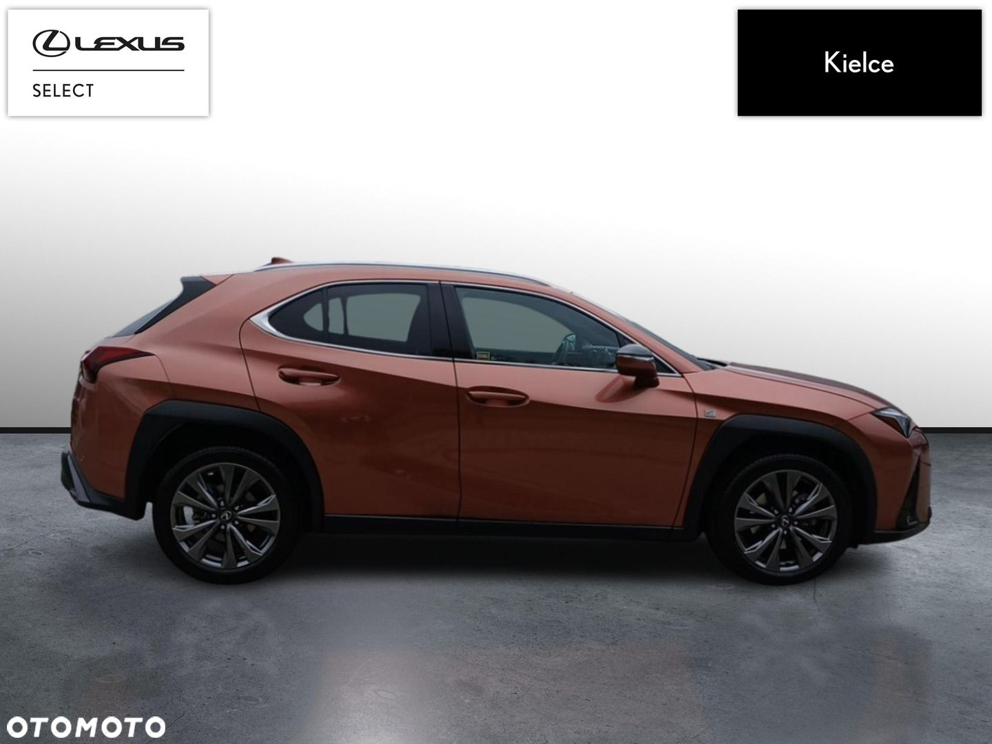 Lexus UX 300h F Sport Design - 6