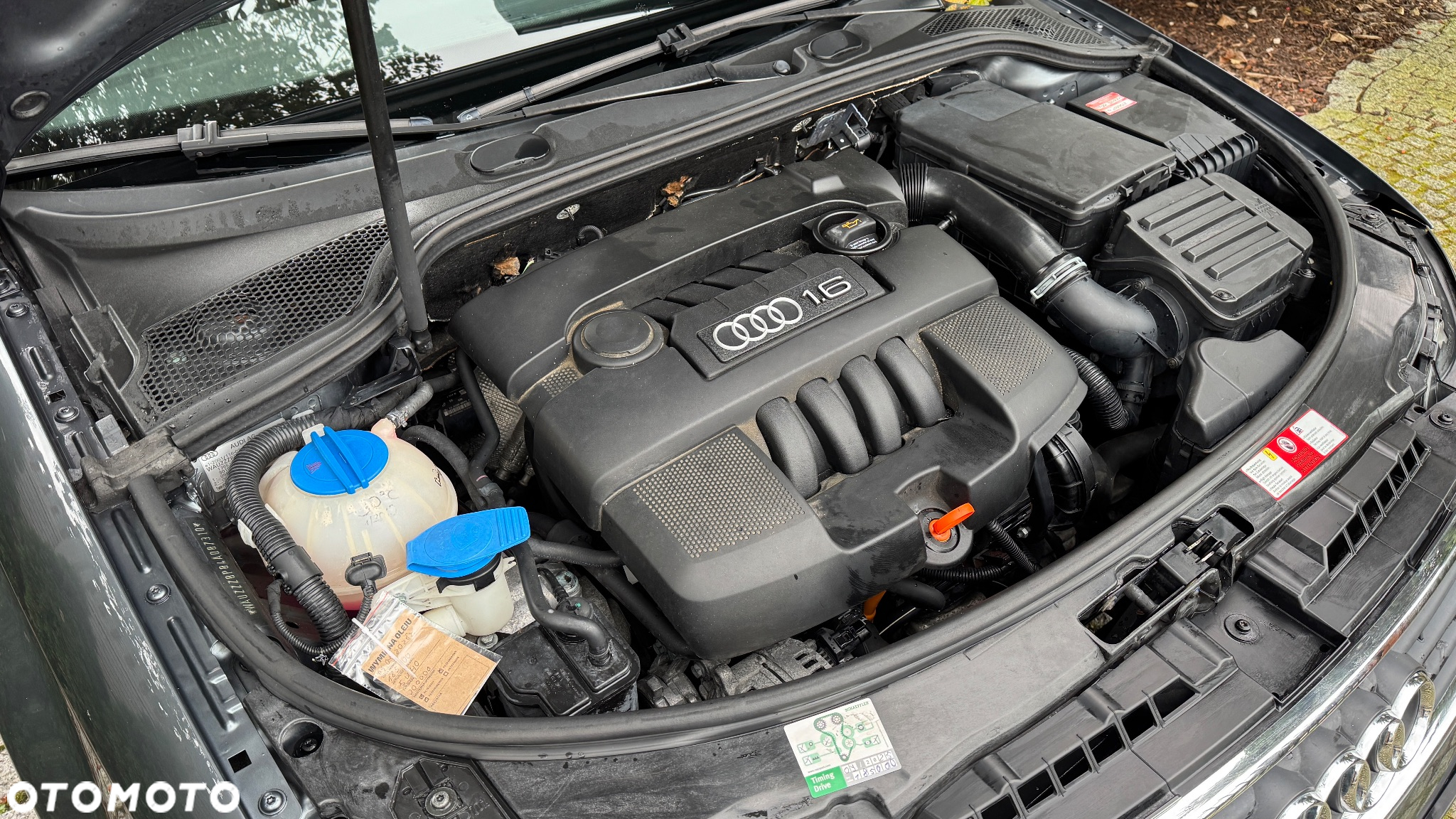 Audi A3 1.6 Ambition - 10