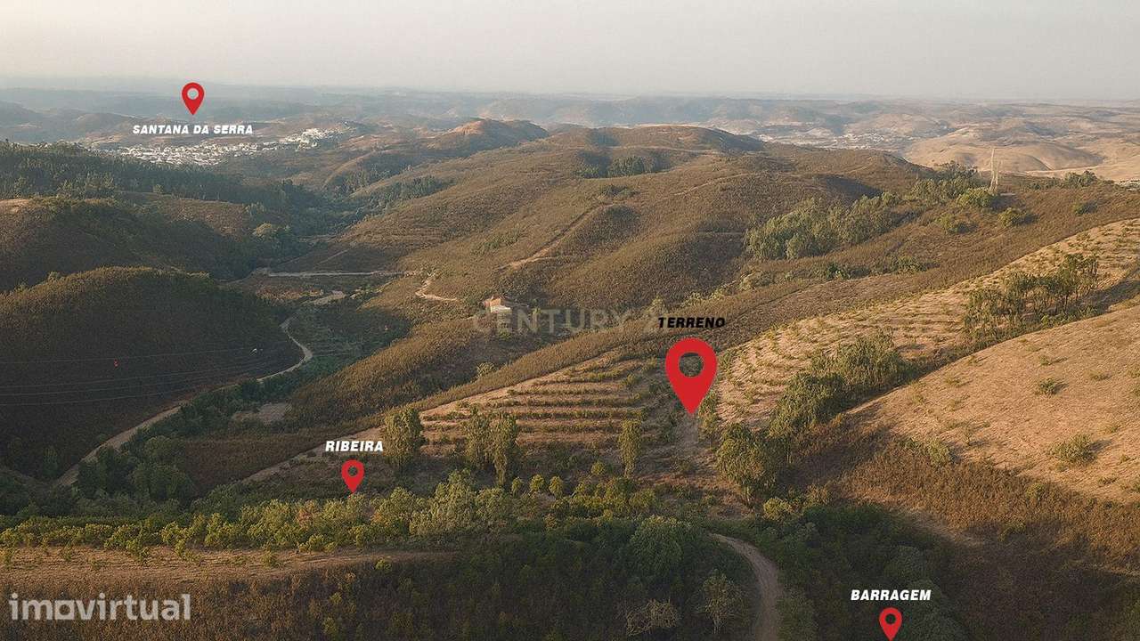 Terreno Agrícola com 8 Hectares — Produção, Água e Natureza em Santana - Grande imagem: 2/15
