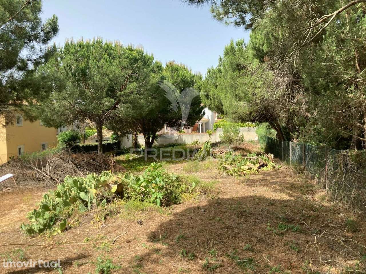Almancil -Terreno plano Rustico perto de Vale do Lobo - Grande imagem: 2/4