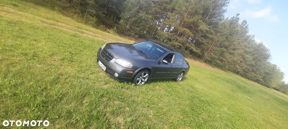 Nissan Maxima - 19