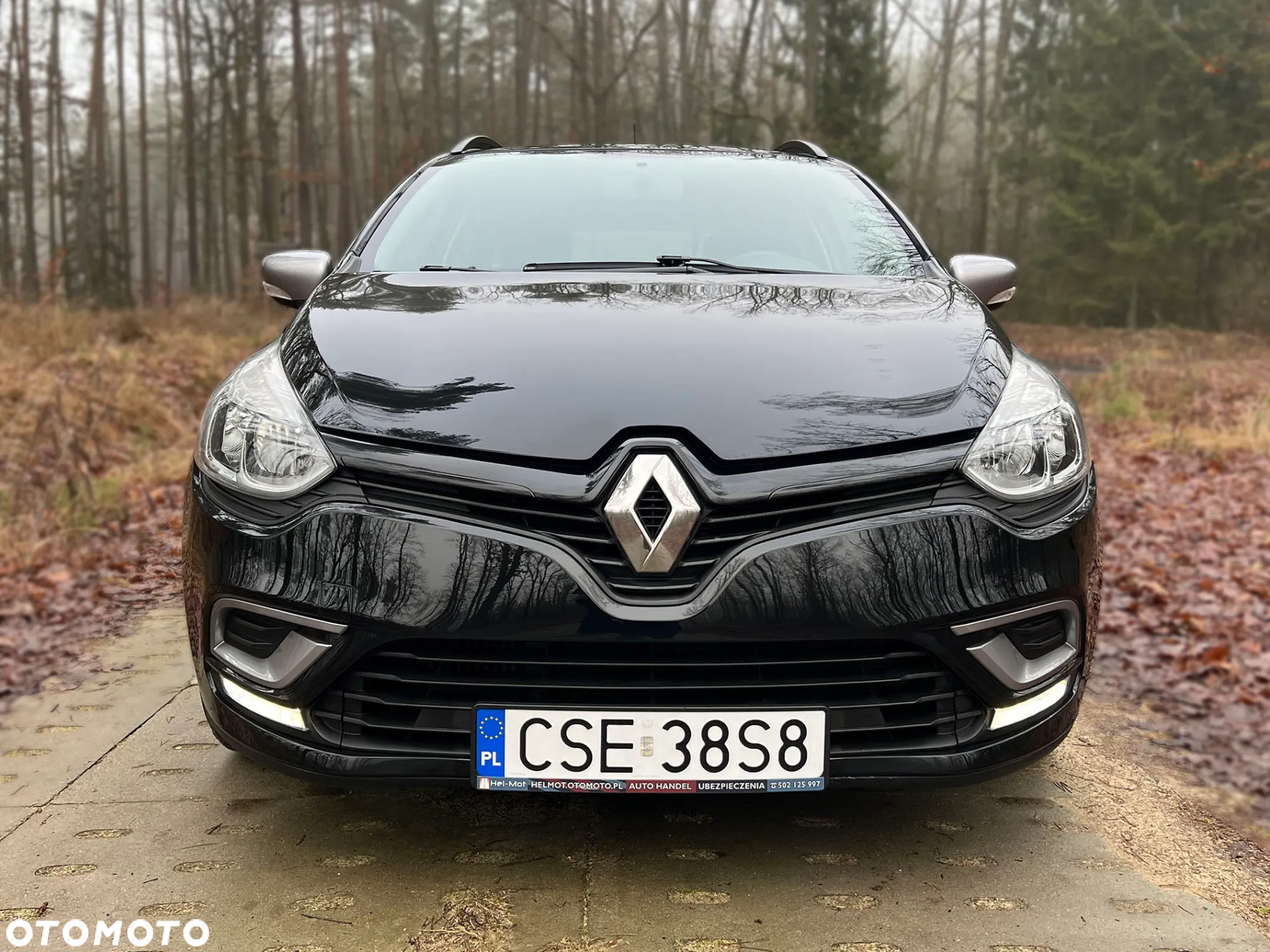 Renault Clio - 13