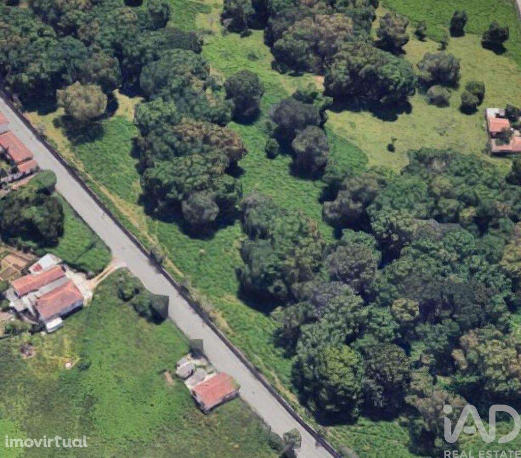 Casa / Villa em Grijó e Sermonde de 24589,00 m2 - Grande imagem: 2/2