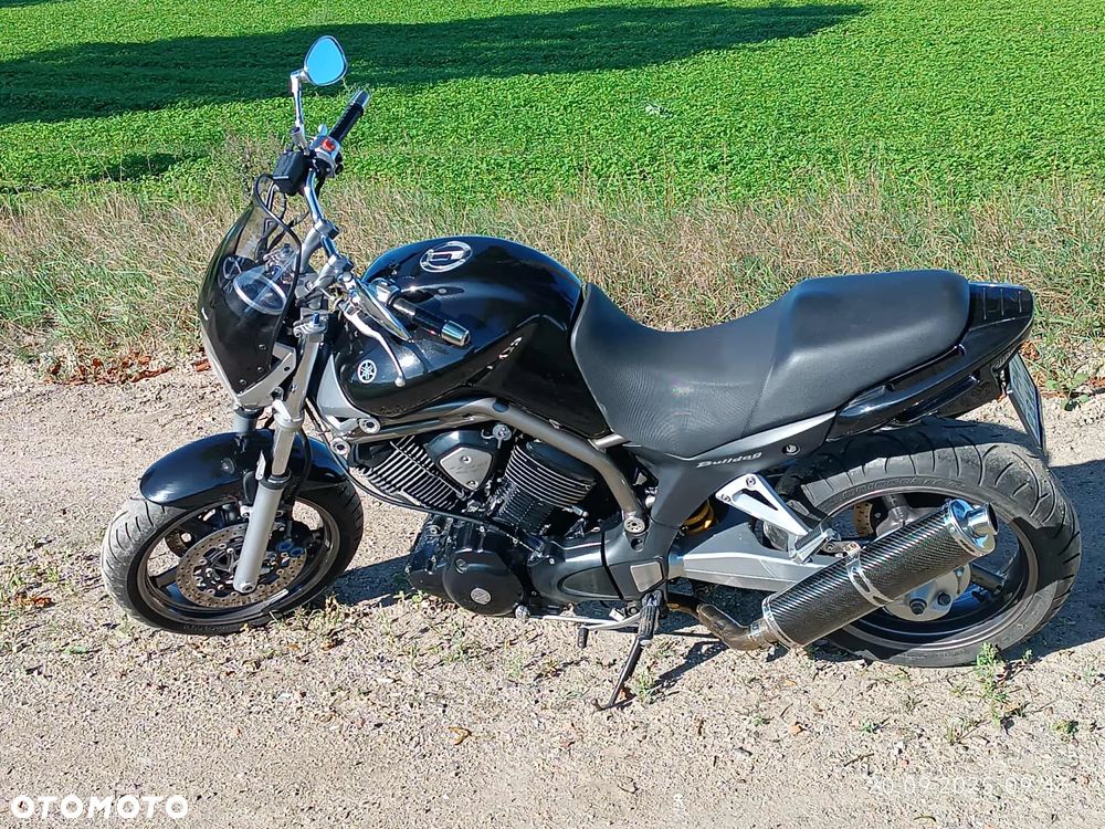 Yamaha Bulldog - 1