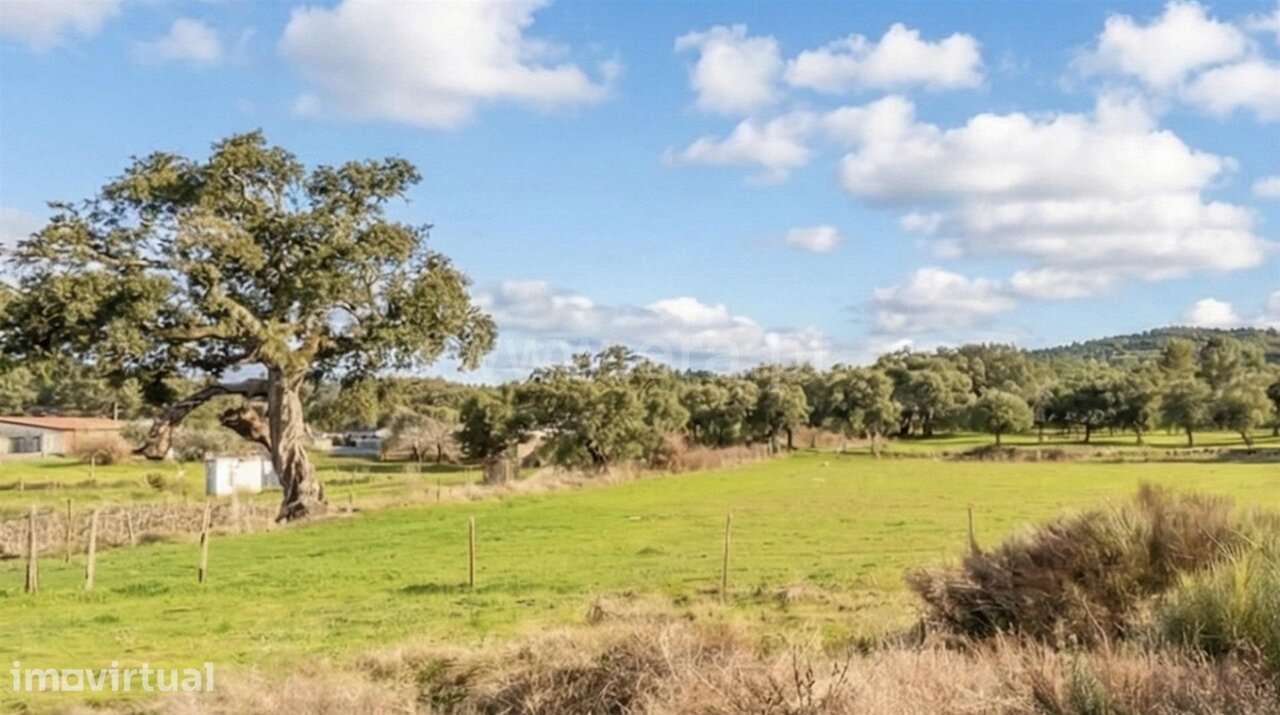Quinta T1 / Fundão, Póvoa da Palhaça - Grande imagem: 3/20