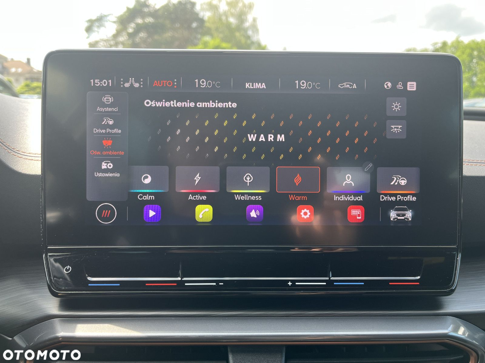 Cupra Formentor 1.5 TSI DSG - 33