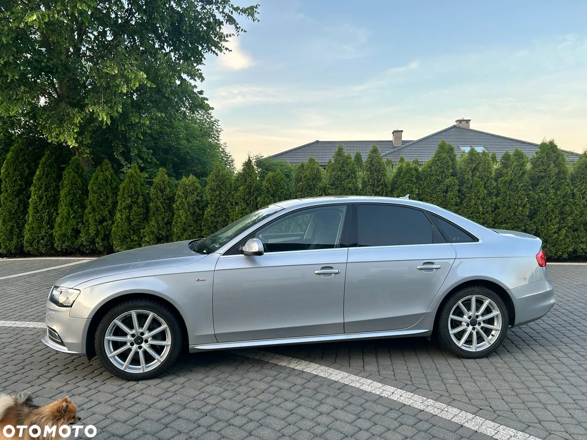 Audi A4 - 3
