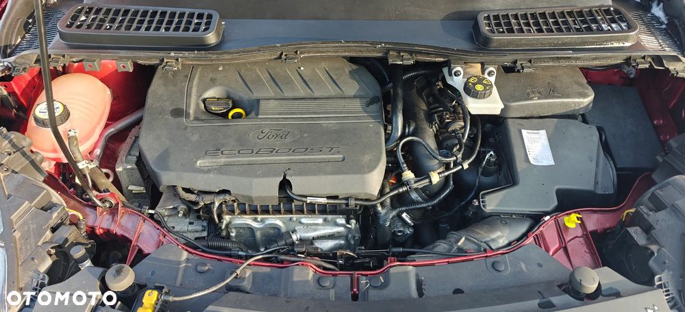 Ford Kuga 1.5 EcoBoost AWD Trend ASS - 21