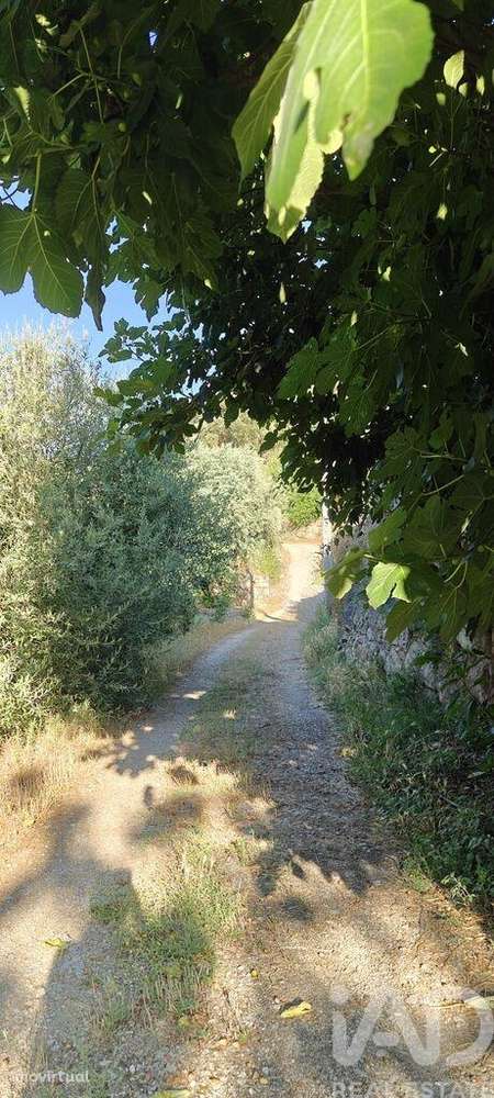 Quinta em Idanha-a-Nova e Alcafozes de 49 m2 - Grande imagem: 2/18