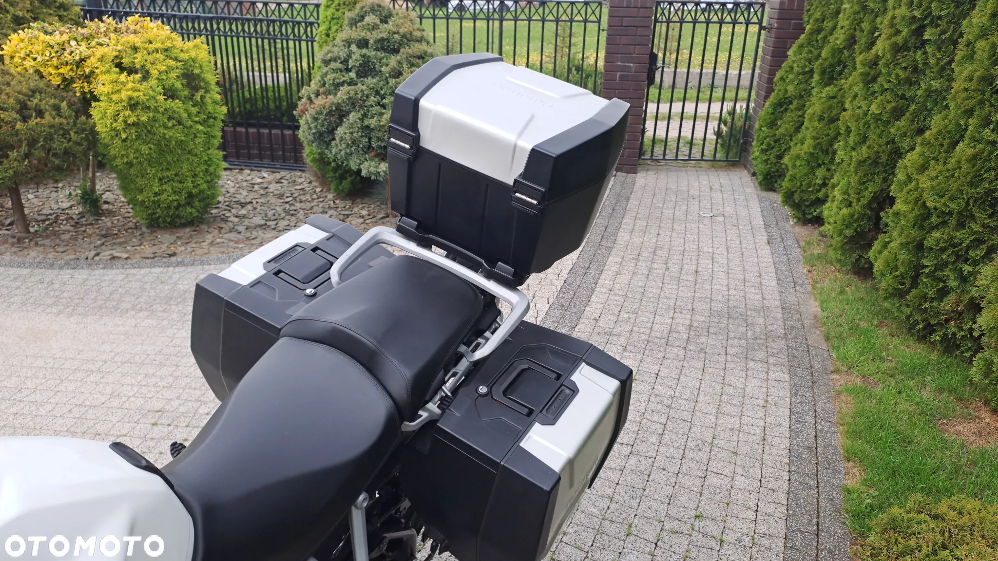 Triumph Tiger - 24