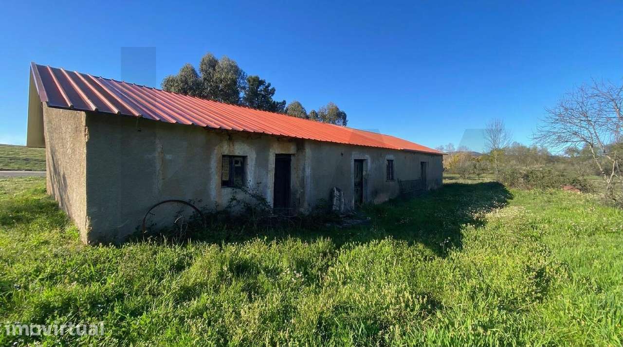Moradia para Reconstrução com Terreno de 1,2 Hectares e Ribeira – E - Grande imagem: 3/19