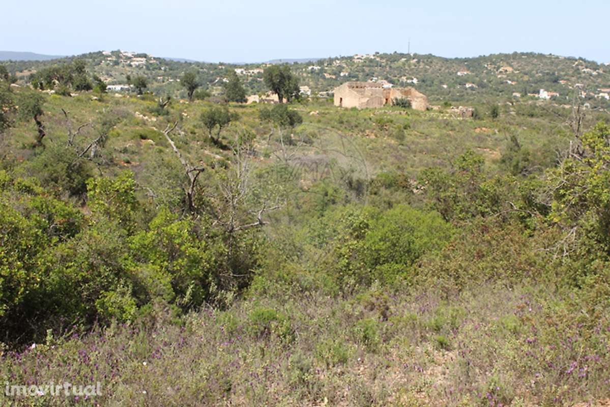 Quinta  para venda - Grande imagem: 3/12