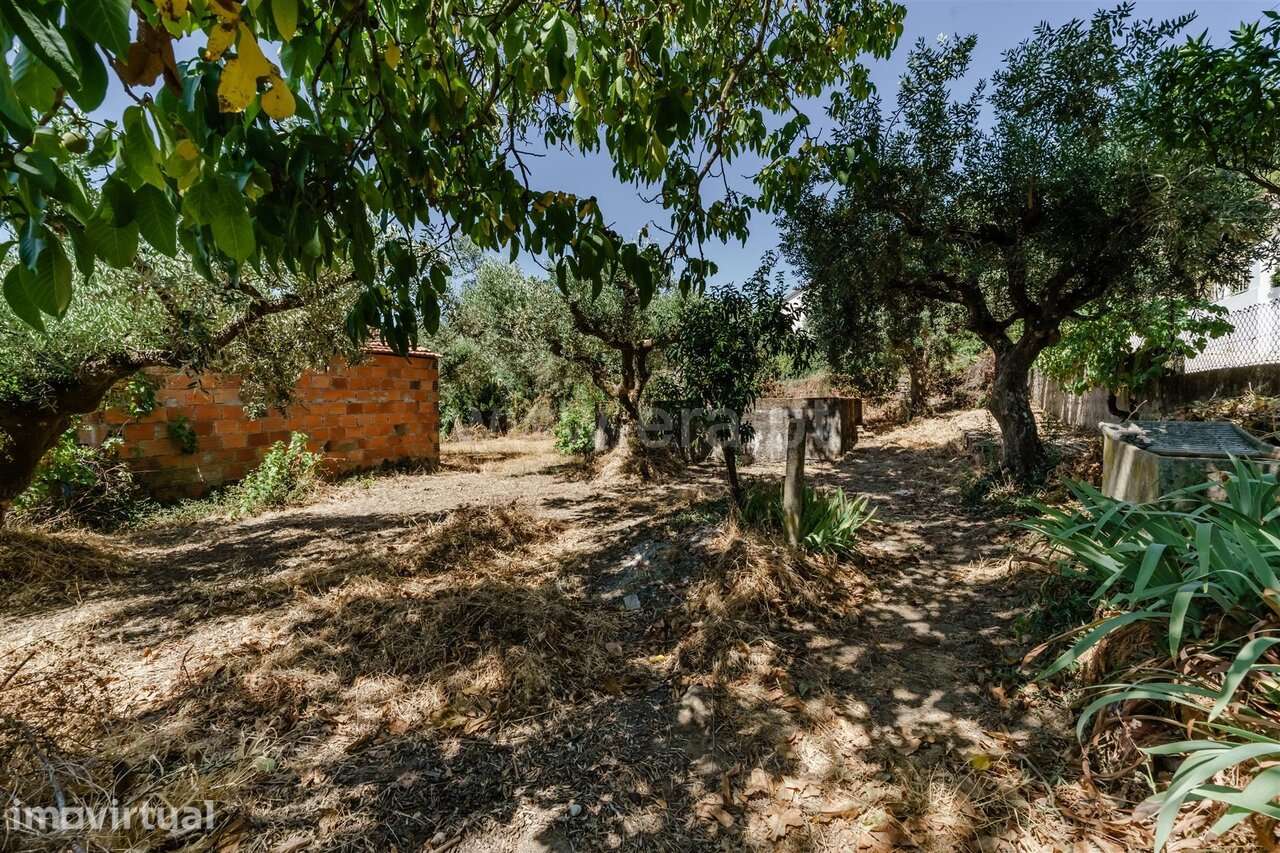 Terreno para Construção / Fundão, Telhado - Grande imagem: 5/13