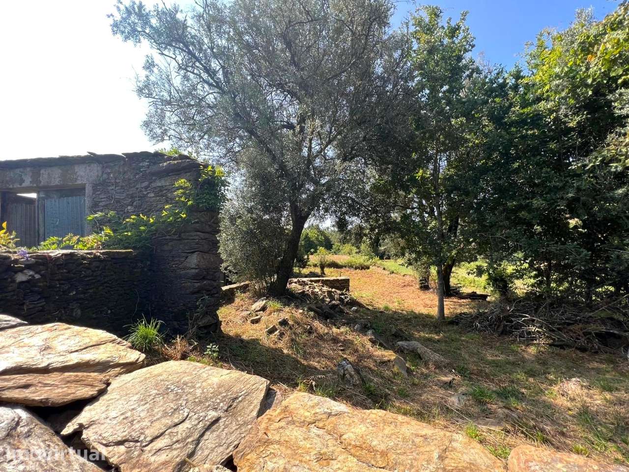Terreno com ruína e anexos | Orbacém - Grande imagem: 2/28