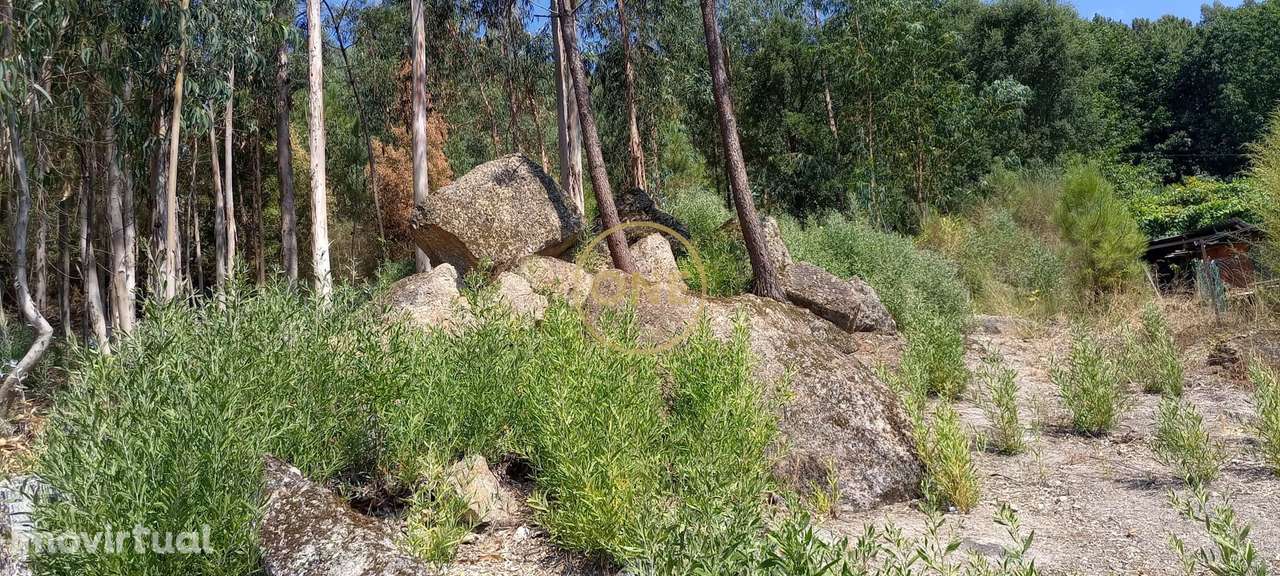 Venda Terreno - Grande imagem: 2/5