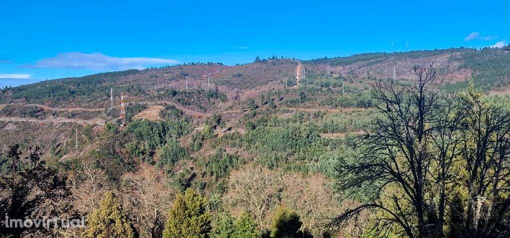 Quinta c/ 2 casas em Pedra p/ restauro - Campos - Grande imagem: 4/56