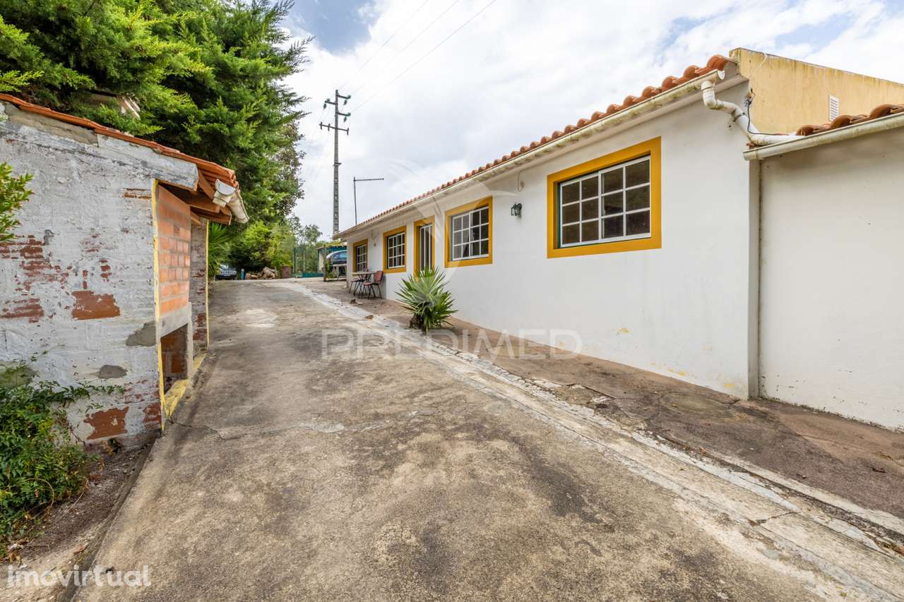 Quinta em Cela, Alcobaça, para comprar - Grande imagem: 3/39