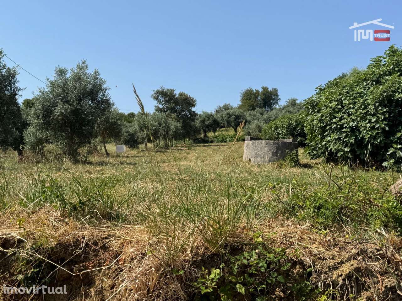 Terreno rústico com olival, poço e possibilidade de instalar Estufa... - Grande imagem: 2/31