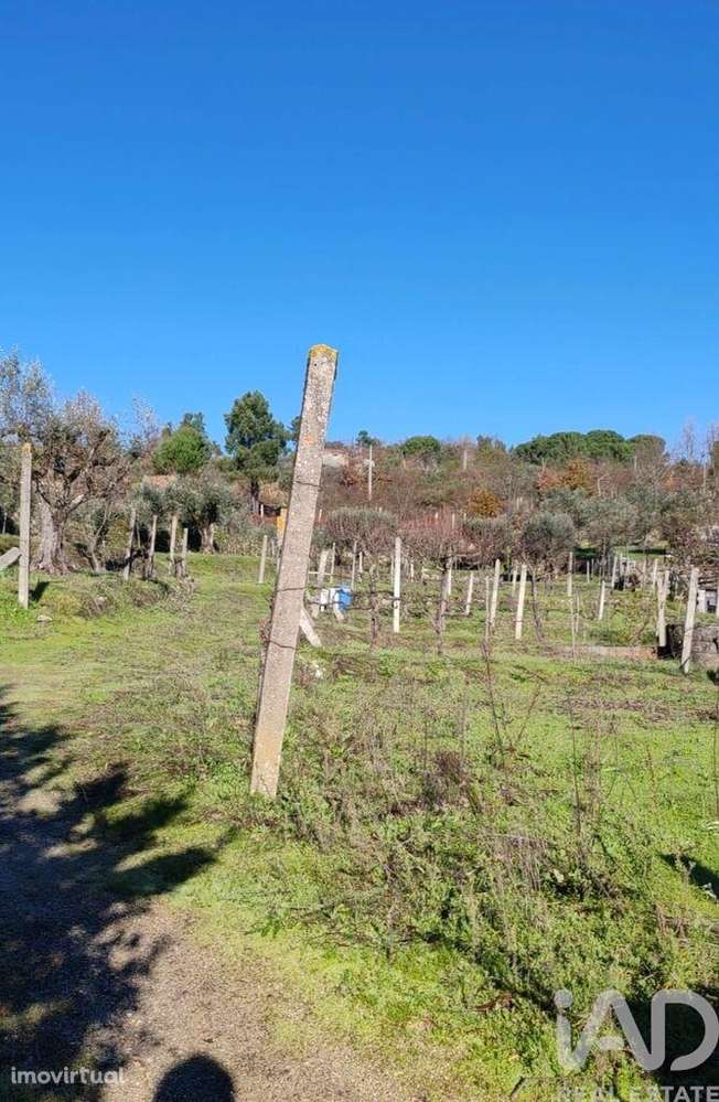 Terreno em Oliveira do Hospital e São Paio de Gramaços - Grande imagem: 2/6