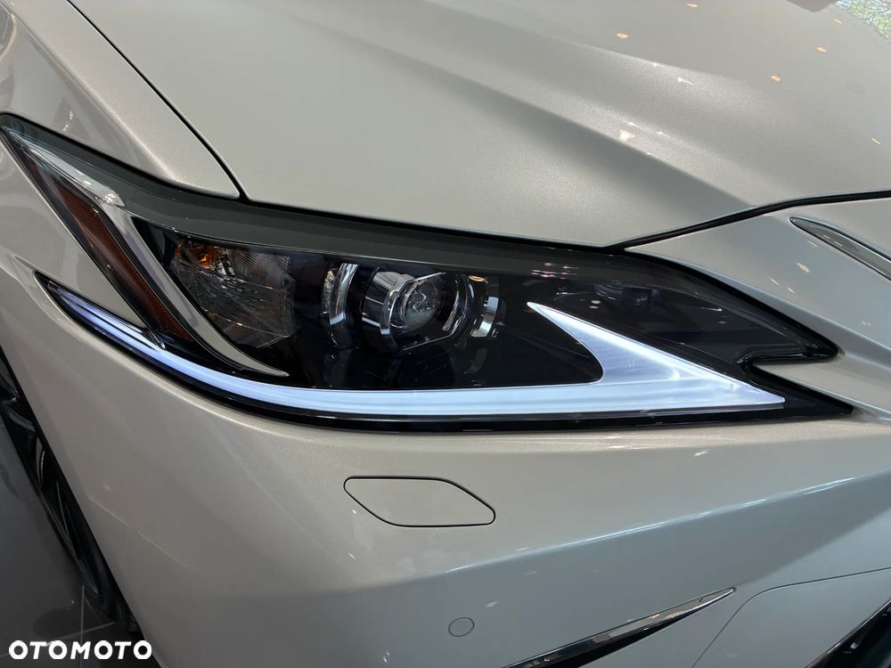 Lexus ES 300h Business Edition - 2