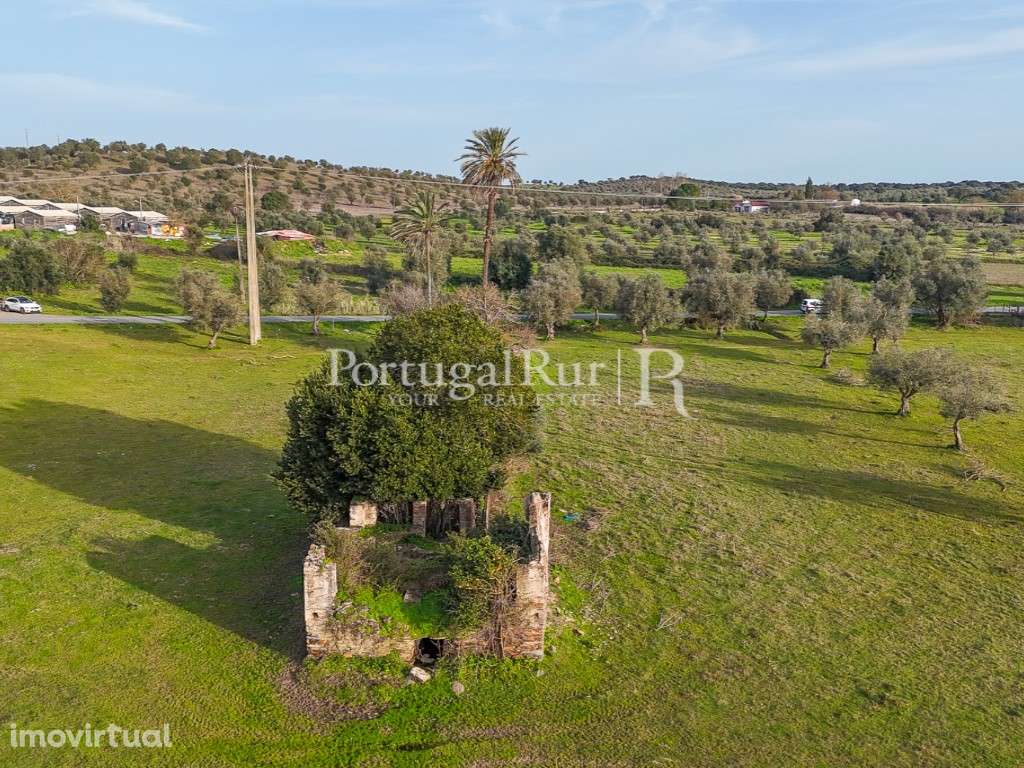 Quinta de 22 hectares em Avis, Portalegre - Grande imagem: 4/35