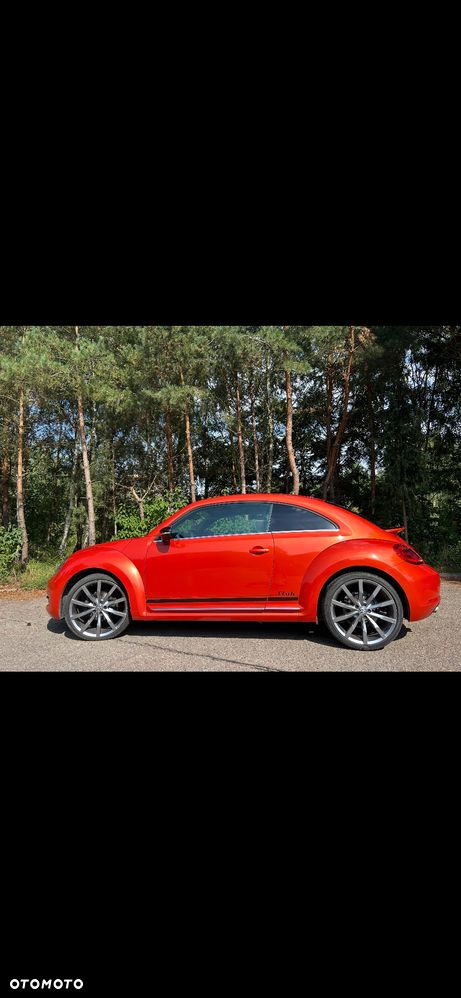Volkswagen Beetle - 4