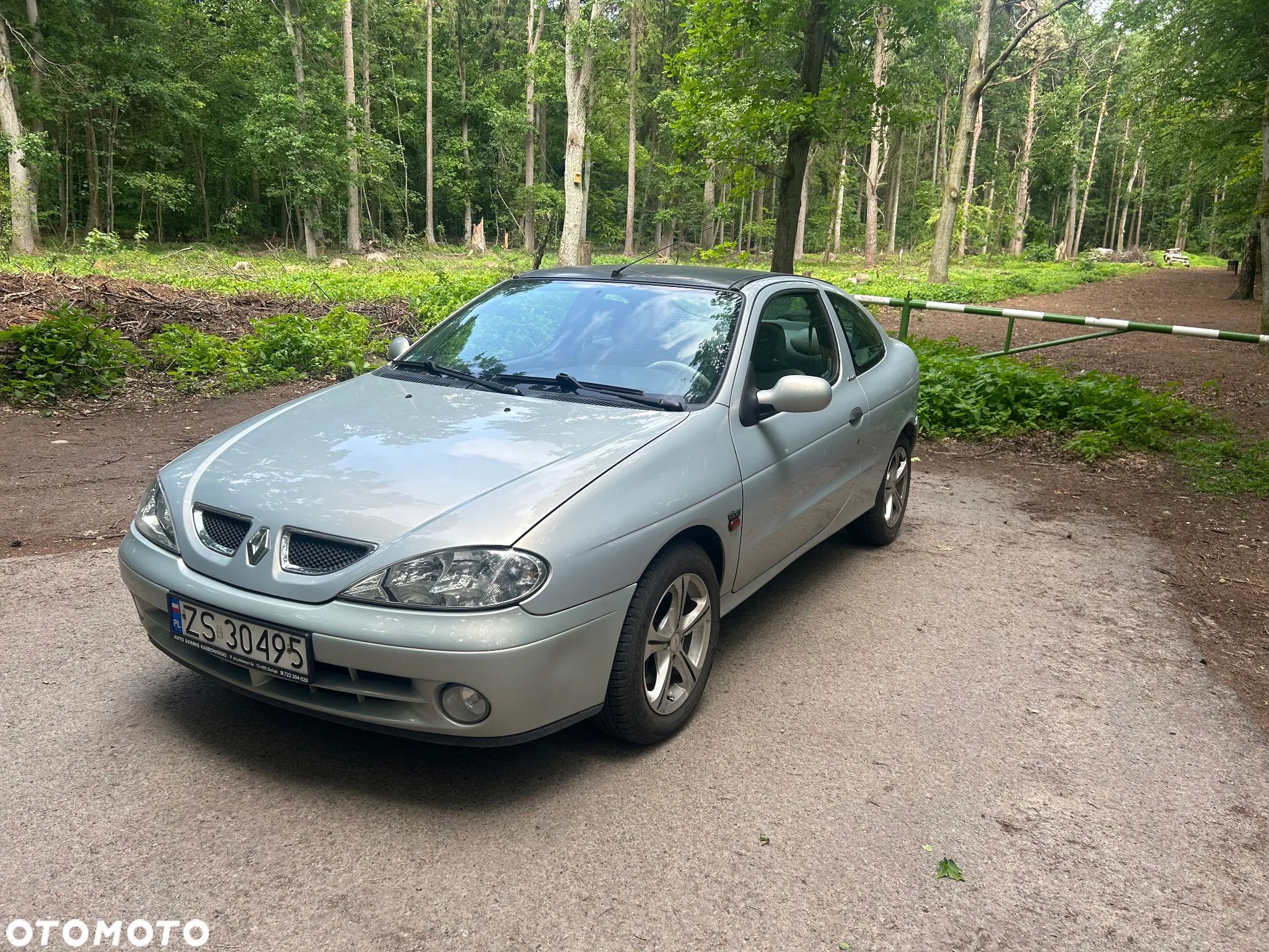 Renault Megane - 1