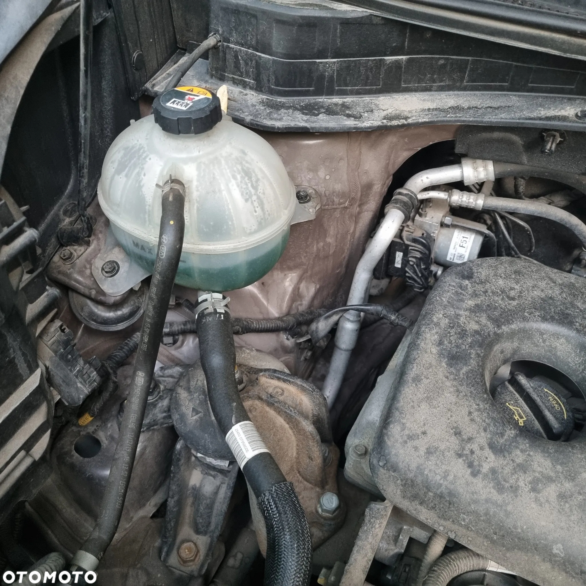 Kia Sportage - 24
