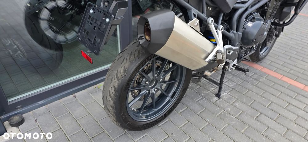 Triumph Tiger - 23