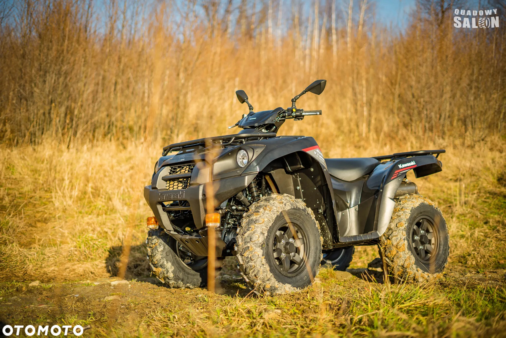 Kawasaki Brute Force - 17