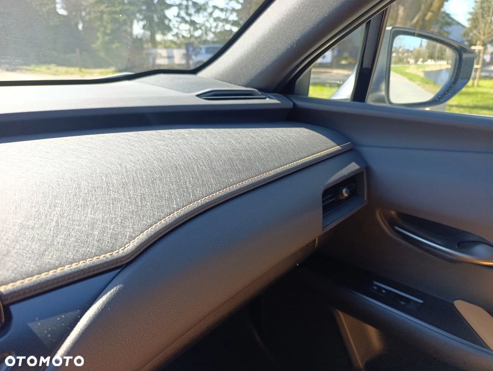 Lexus UX 300h Executive Line - 15