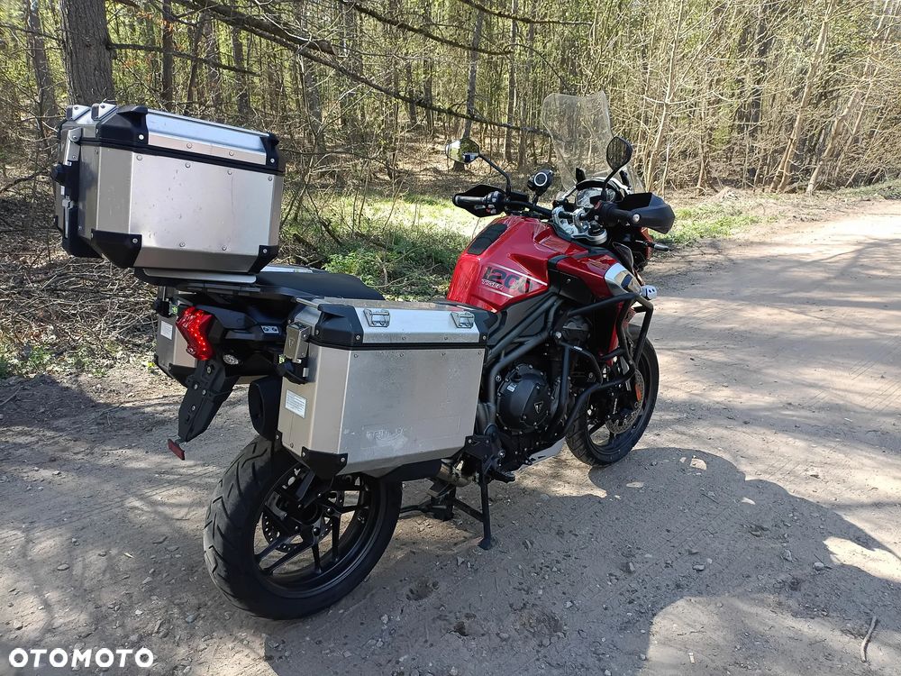 Triumph Tiger - 15