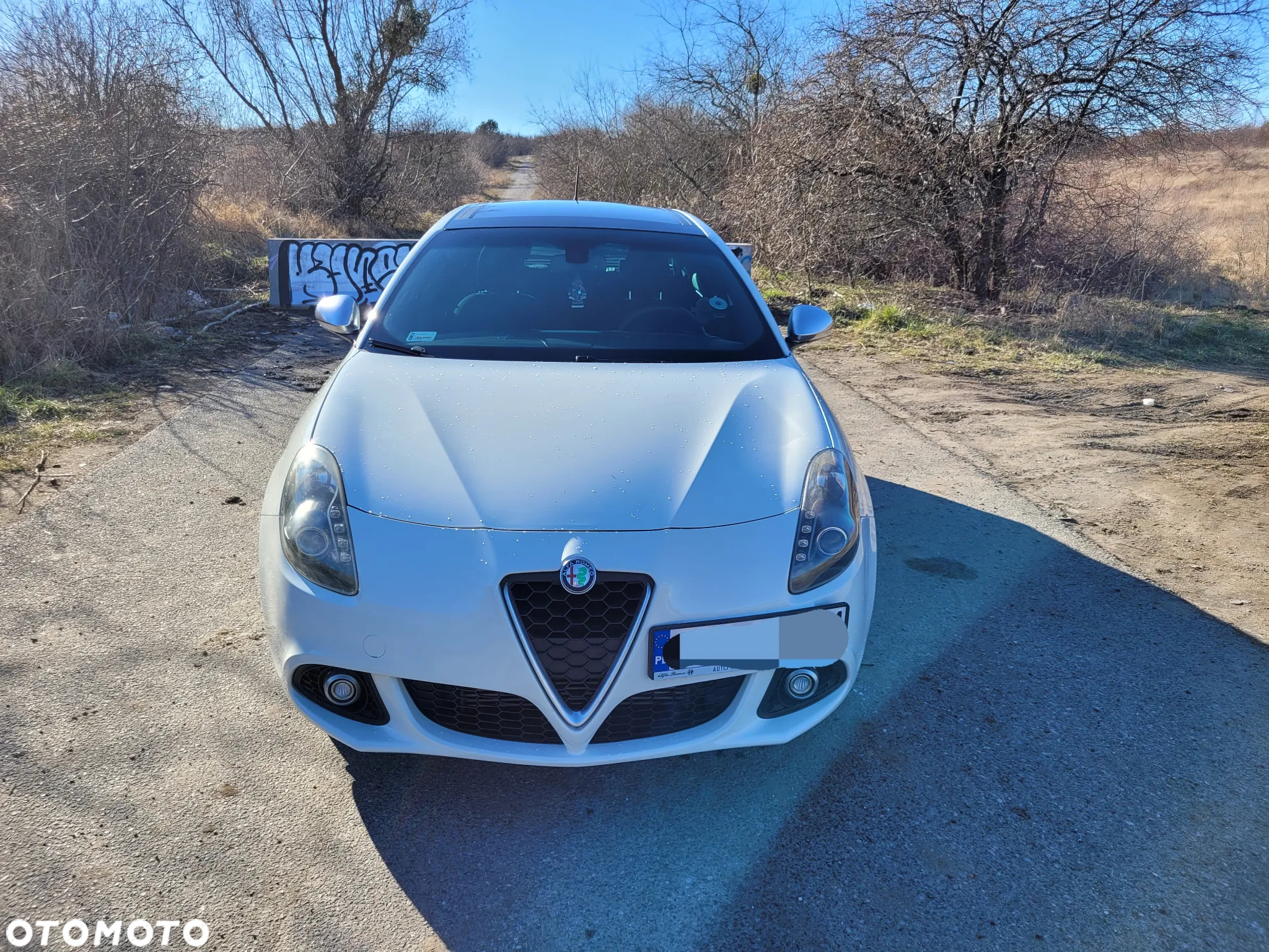 Alfa Romeo Giulietta 1.6 JTDM Distinctive - 17