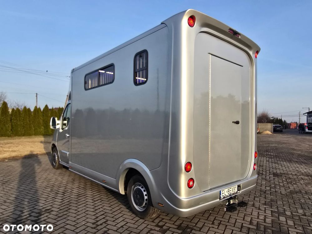 Opel Movano-Koniowóz - 13