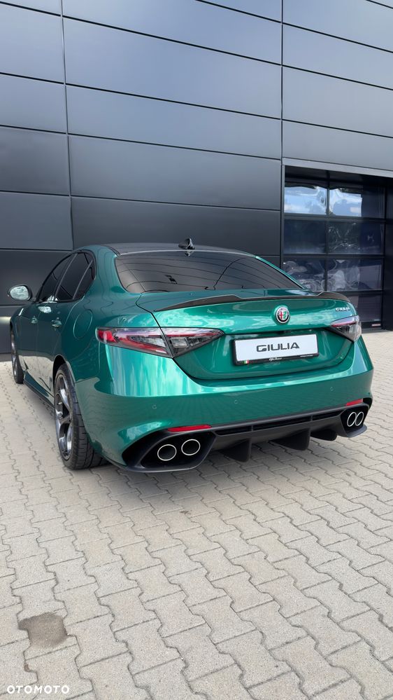 Alfa Romeo Giulia 2.9 Bi Turbo V6 Quadrifoglio - 6
