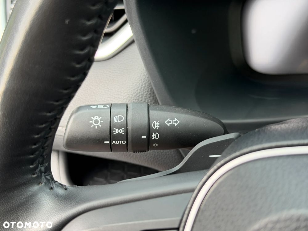 Toyota RAV4 2.5 Hybrid Executive 4x2 - 19