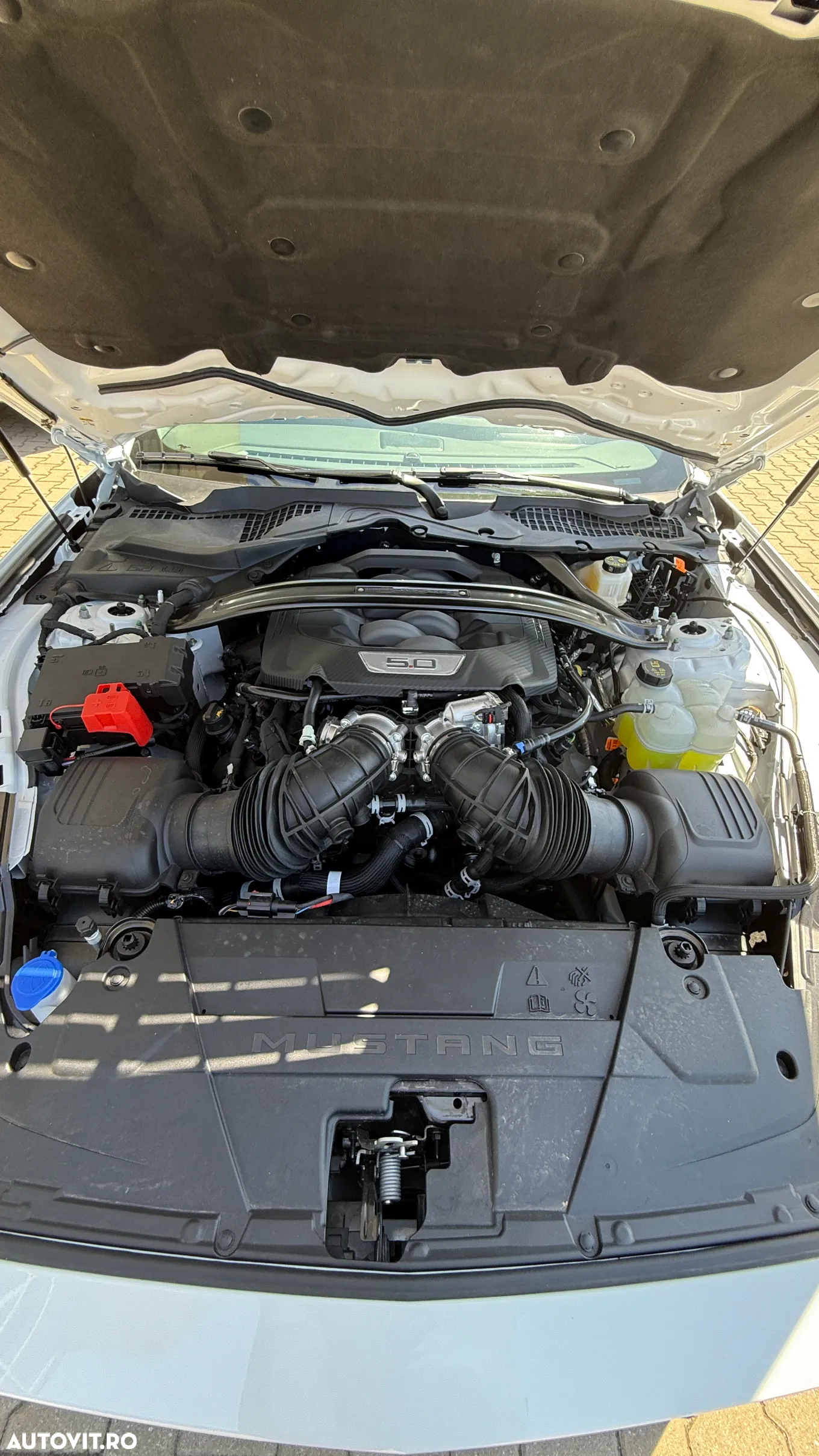 Ford Mustang 5.0 V8 Aut. Dark Horse - 26