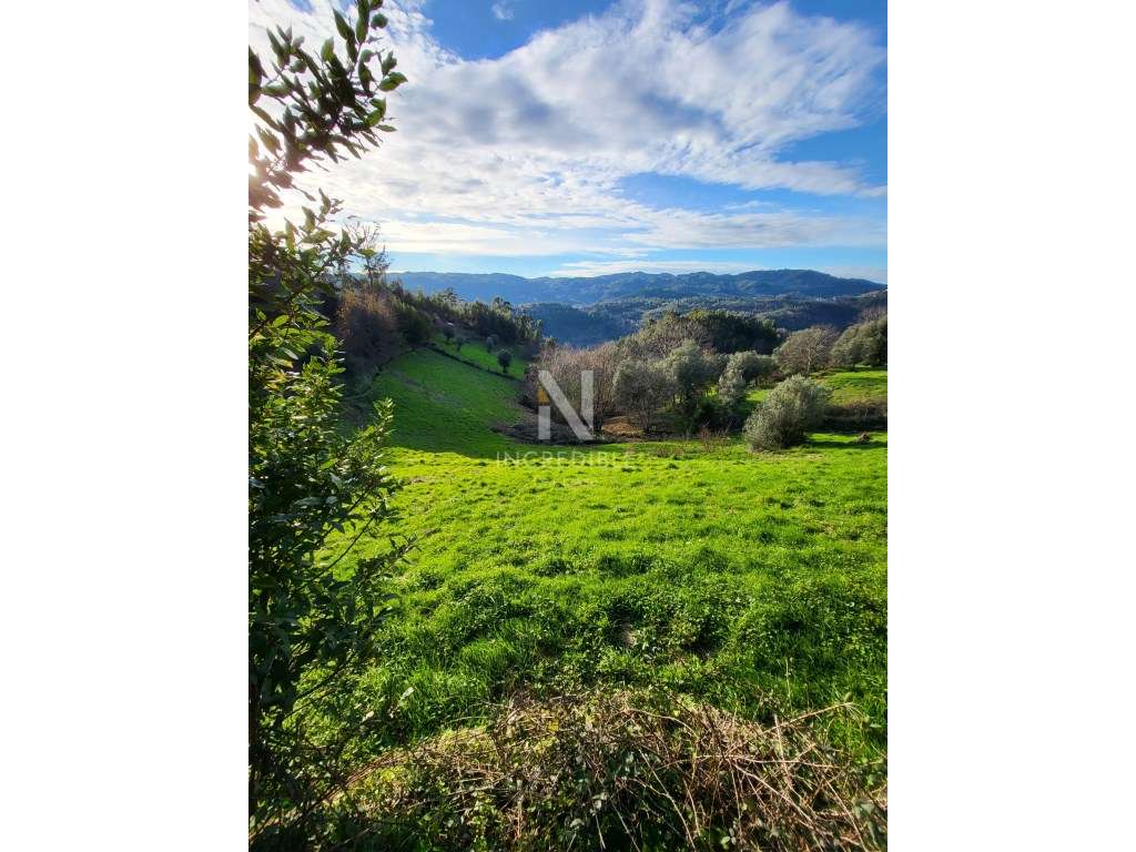 Terreno Rústico 8500 m² em Abadim, Cabeceiras de Basto - Grande imagem: 3/9