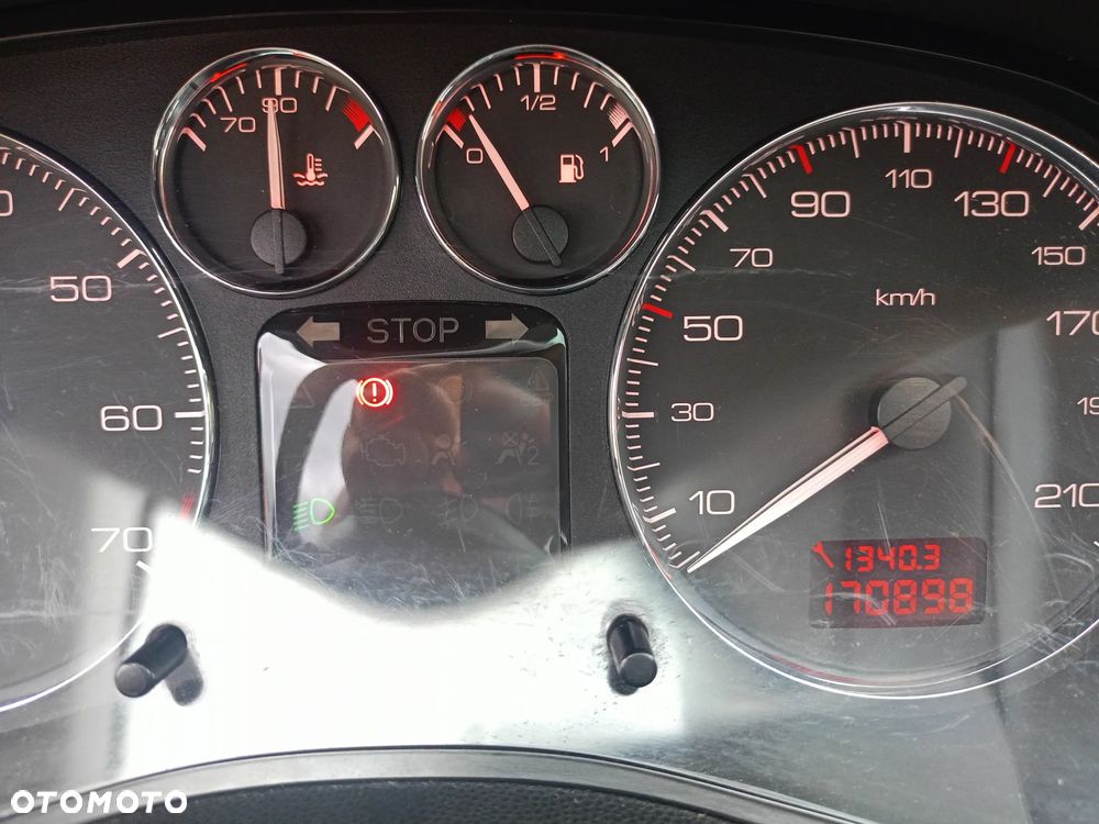 Peugeot 307 1.6 Oxygo - 8
