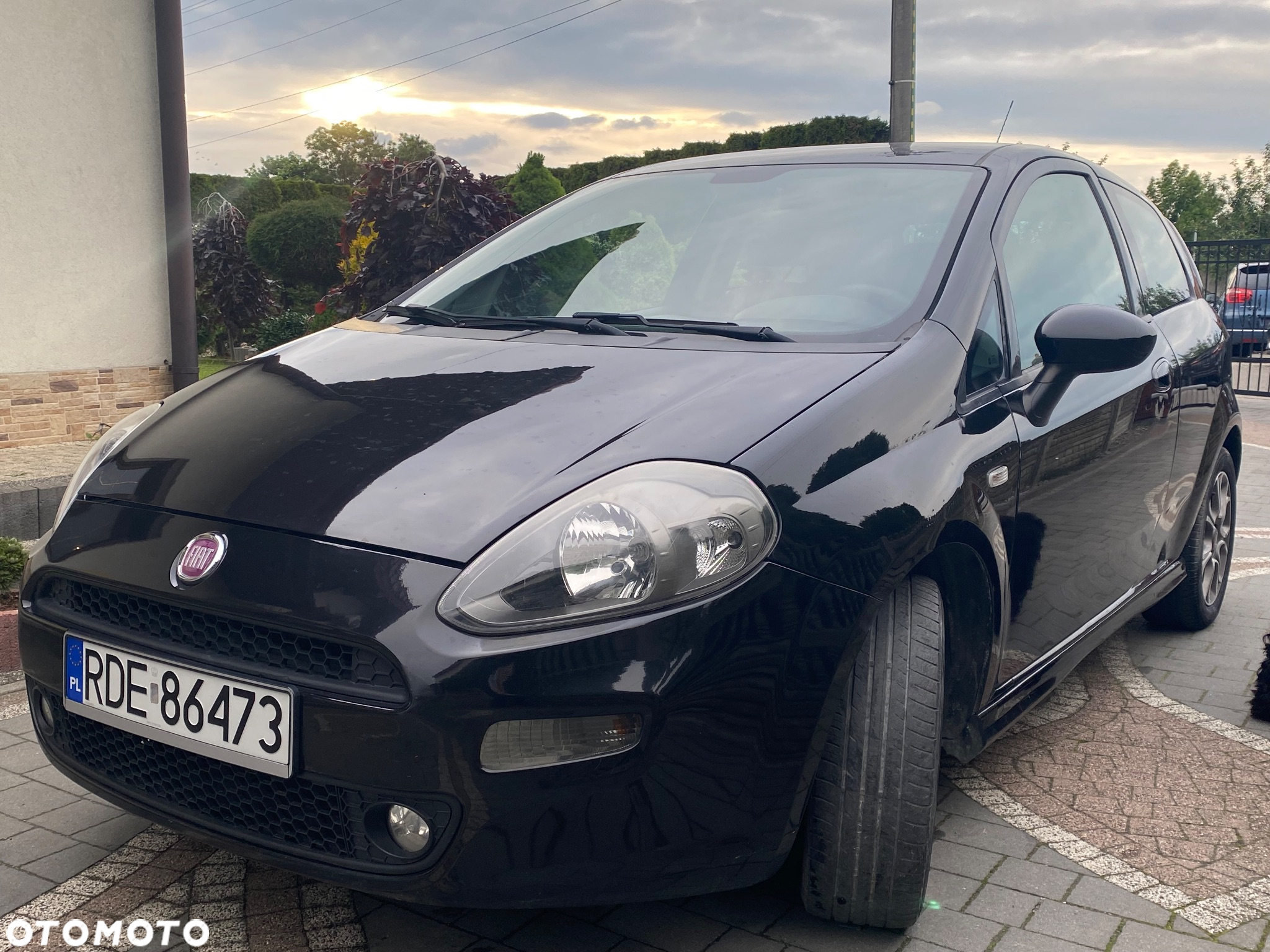 Fiat Punto - 4
