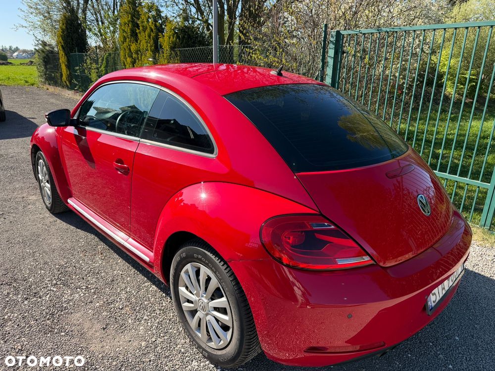 Volkswagen Beetle - 4