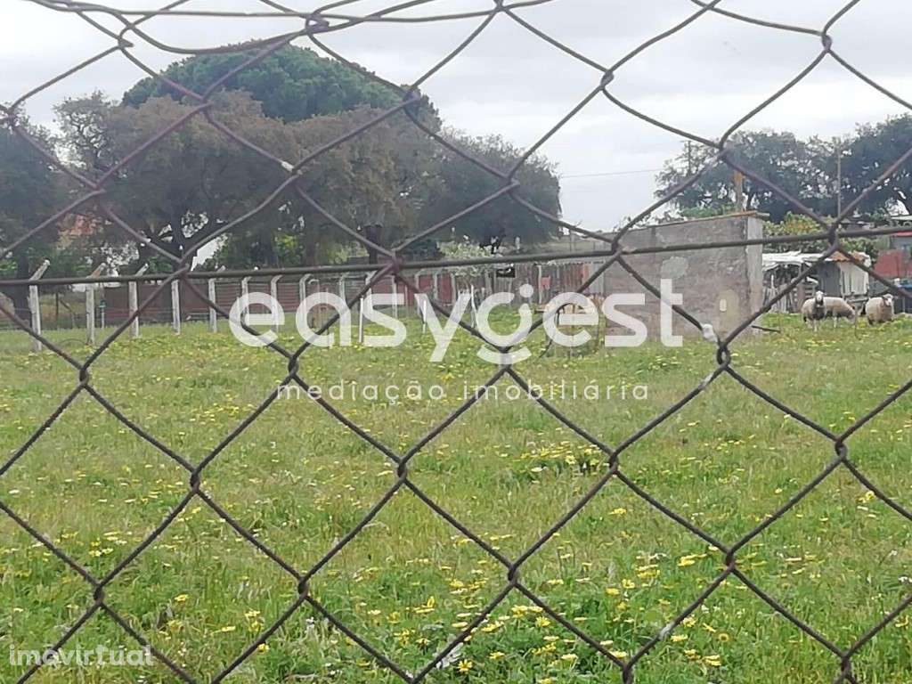 Terreno Urbano com 2693m de área localizado em Figueira dos Cavaleiros - Grande imagem: 2/6