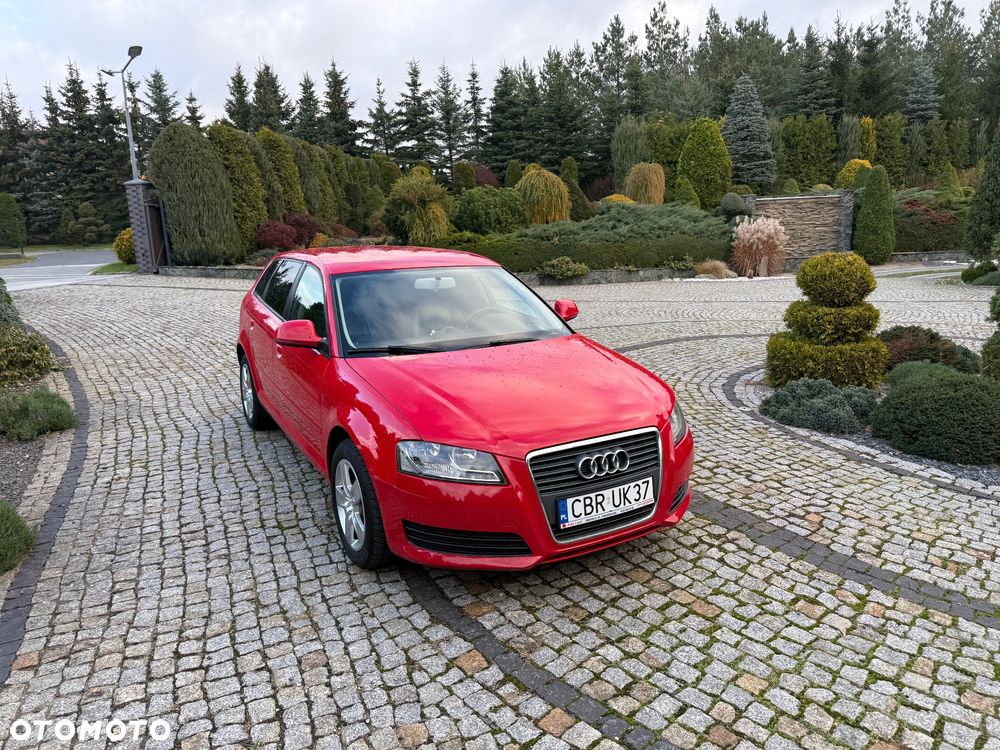 Audi A3 Sportback 1.6 Attraction - 6