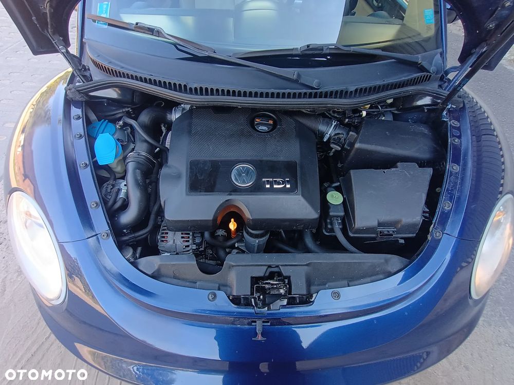 Volkswagen New Beetle - 13