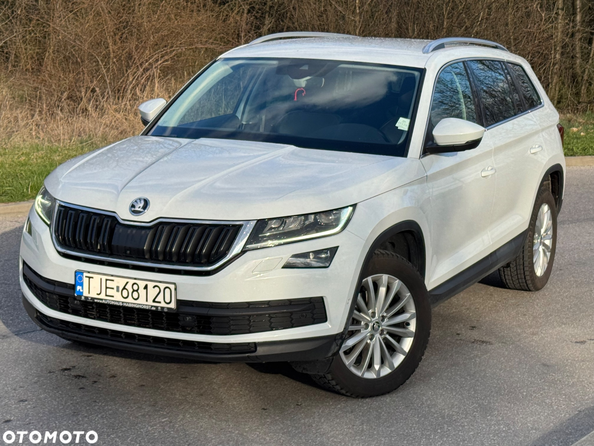 Skoda Kodiaq - 3