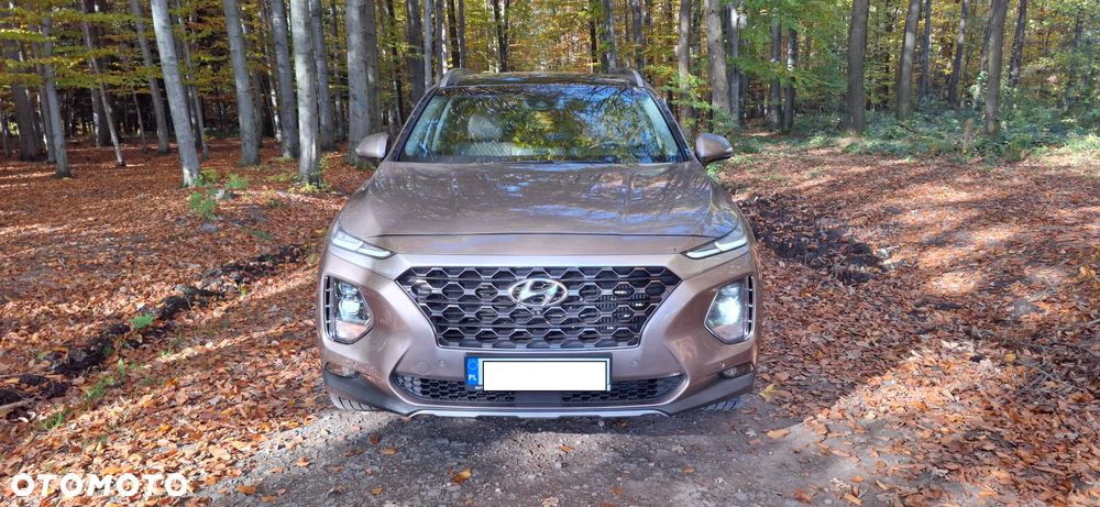 Hyundai Santa Fe 2.0 CRDi Platinum 4WD 7os - 2