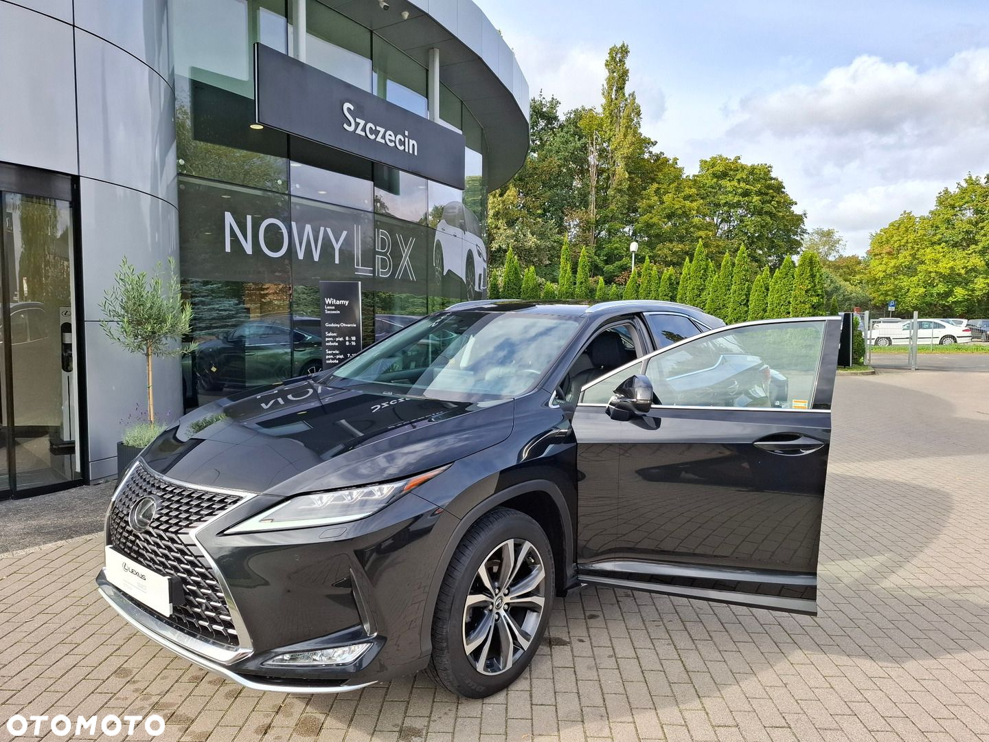 Lexus RX - 9