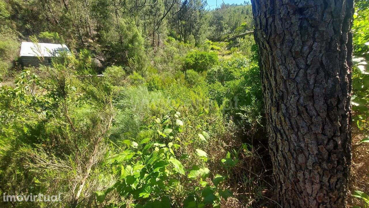 Terreno Rústico / Fundão, Bogas de Cima - Grande imagem: 2/12